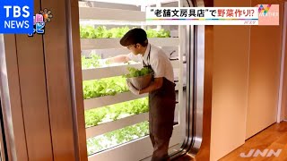 銀座の文房具店で野菜作り【ＳＵＮトピ】