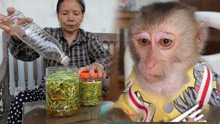 Wild monkey left again, and Grandma made medicine