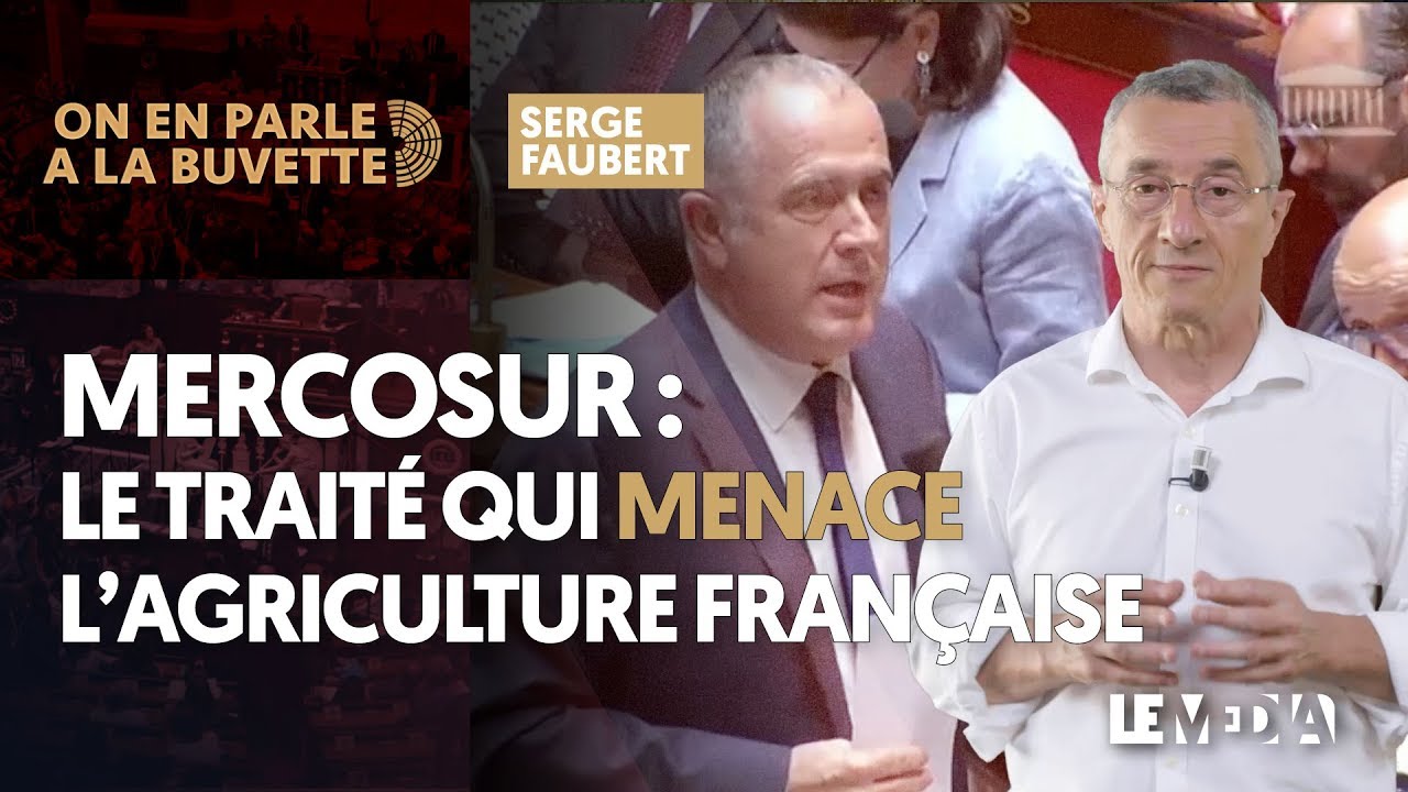 MERCOSUR : LE TRAITÉ QUI MENACE L'AGRICULTURE FRANÇAISE european flags