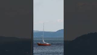 Tranquil Boat on Calm Waters 🌊⛵️ #relaxing