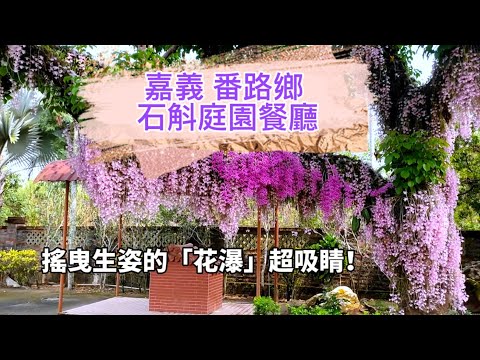 嘉義 番路鄉 「佳鄉庭園餐廳」，滿開的石斛「花瀑」！42024