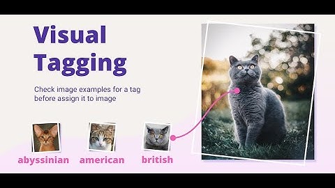 Visual tagging app in Supervisely