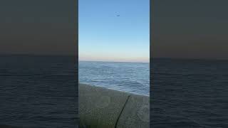 Dawlish beach on nice day