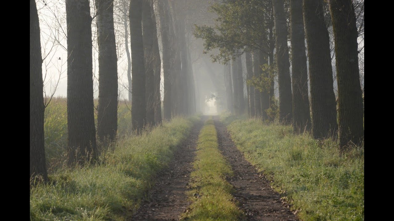 GR 129 : 1. BRUGGE - KRUISHOUTEM