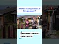 ‼️Ураган снёс дом семьи #лукашенко #впонедельникдойдетдолукашенко #ураган #вилейка #ураганбеларусь