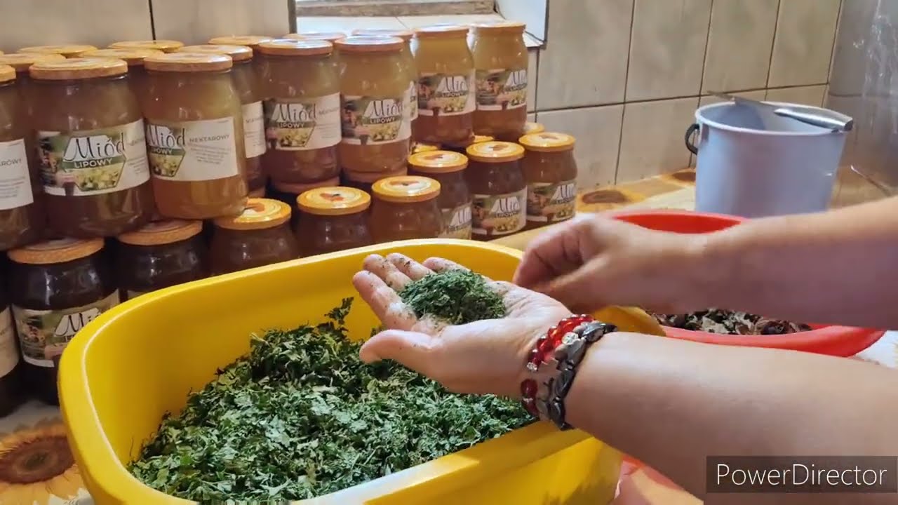 Zaczynamy suszyć warzywa - papryka, pietruszka, bazylia - jak to u mnie wygląda