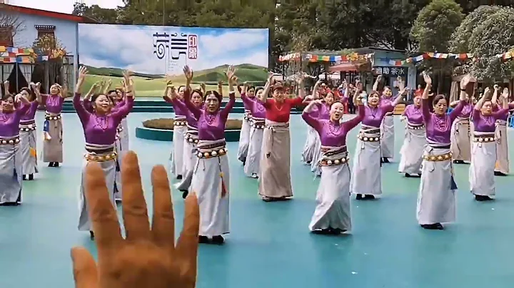 藏族同胞齐聚藏羌印象载歌载舞，尽情嗨锅！#藏族舞蹈 #藏族锅庄舞 #锅庄舞 #镜头记录美好瞬间 - 天天要闻