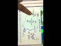 Colonial Foundations and European Exploration in Early American History