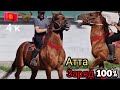 сатылды ат  😱зардасы миң ЖООН  Ат 🇰🇬🐎