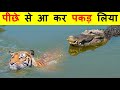 मगरमच्छ का हमला इतना खतरनाक क्यों होता है ? WHY CROCODILE ATTACK IS SO DANGEROUS ?