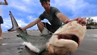 PAYBACK!!! Bull Shark Catch Clean Cook (Shark Fin Soup)