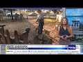 Mobile considers new animal control rules including high risk dog classification