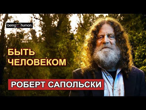 видео: Роберт Сапольски "Быть человеком"