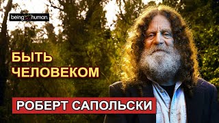 Роберт Сапольски "Быть человеком"