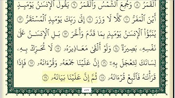 وديع اليمني سورة القيامة كاملة ومكتوبة