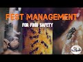 Pest Management For Food Safety