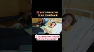 ❤️👏 Prima chemio con la sua cagnolina: Joy resta accanto a Barbara per 6 ore 🙏