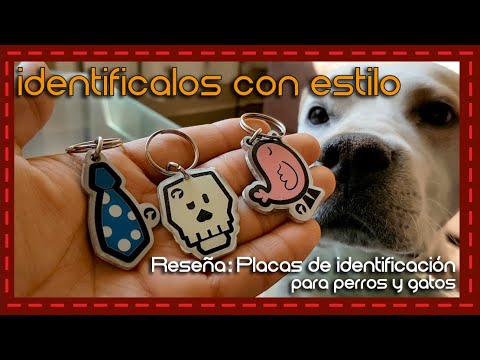 Video: Etiquetas de identificación de la tienda de mascotas para perros