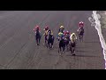 View race 2 video for 2019-05-11
