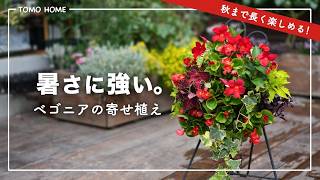 暑さに強い花だけで 赤のハンギング寄せ植え作ってみた