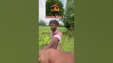 Tree House Kab Banega 🥵