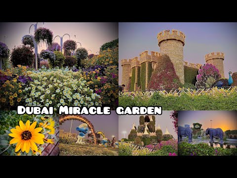 Dubai Miracle Garden || a glimpse of Miracle Garden || best tourist place in dubai || dubai tourism