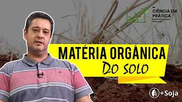 Como é composta a matéria orgânica do solo?