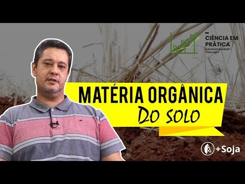 Vídeo: Qual é a importância da matéria orgânica no solo?