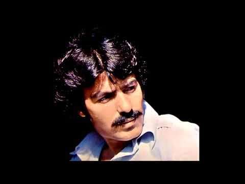 Ferdi Tayfur - Sevginin Ötesinde
