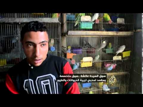 سوق السيدة عائشة من تجارة الرقيق إلى تجارة الحيوانات والطيور