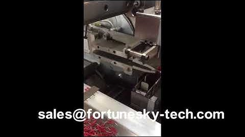 Fully Automatic 2CM Wire Cutting Stripping Twisting Tinning Machine-Sales@fortunesky-tech.com