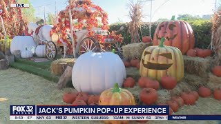 Fall fun in the city at Jack's Pumpkin Pop-Up