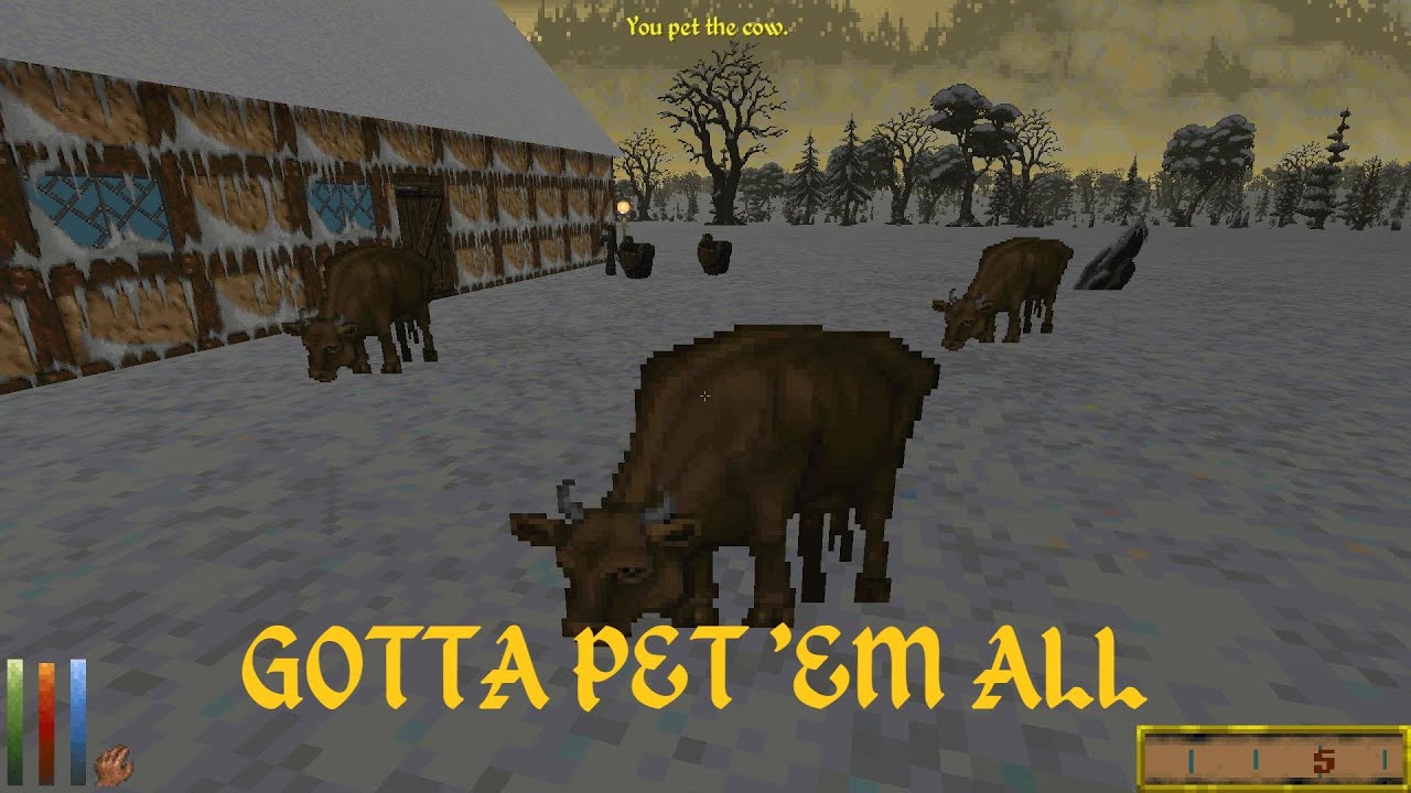 Gotta Pet 'Em All - Daggerfall Unity Mod - YouTube