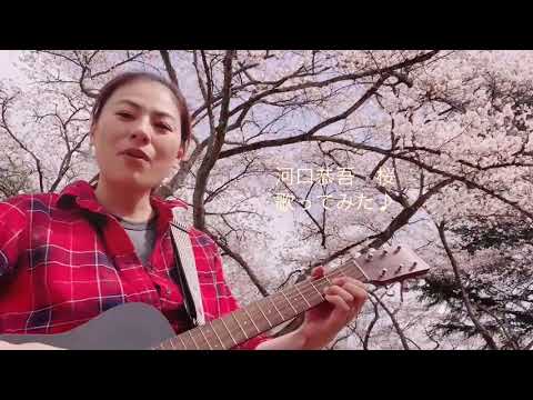 河口恭吾　桜　歌ってみた♪松本加奈子一日一曲22日目♪2021.3.30♪