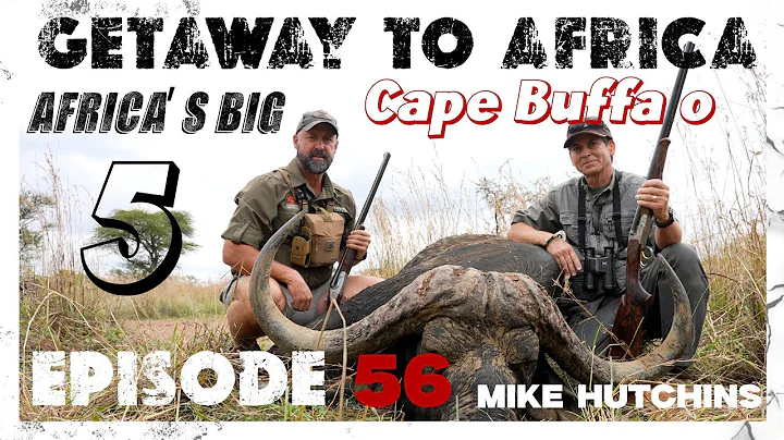 Getaway To Africa - Episode 56 Africa’s Big 5: Cape Buffalo Edition.