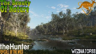 The Beauty Of Nature - The Hunter Call Of The Wild screenshot 1