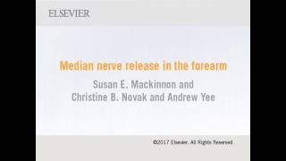 Median nerve release in the forearm from Green’s Operative Hand Surgery 7e