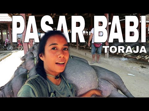 Harga Daging Sapi Dan Babi