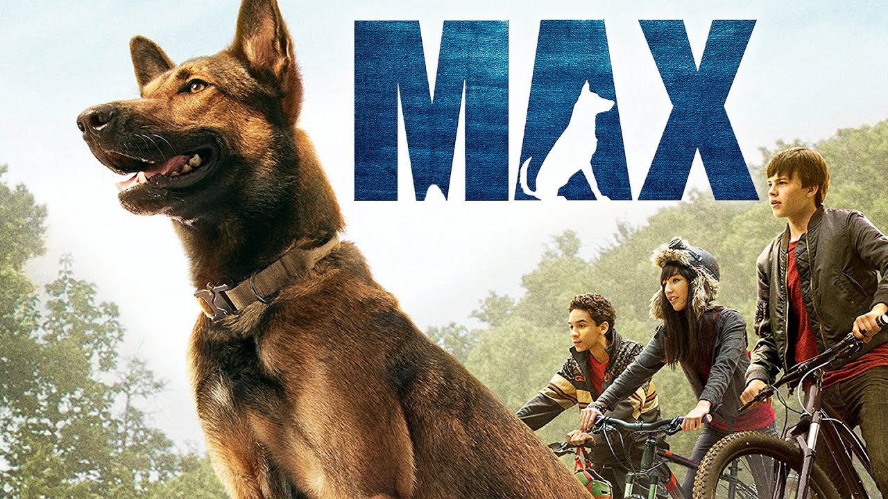 A Story of Dog MAX Movie Review/Plot in Hindi | Film Explained in ...