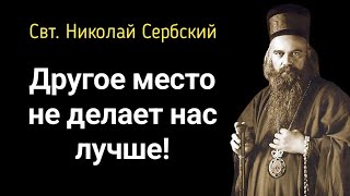 Святитель Николай Сербский сказал тем, кто думает, что они будут лучше в другом месте.