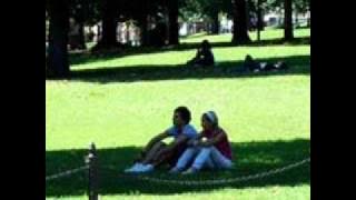 Lazy Life . Quentin E. Klopjaeger..wmv