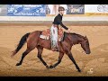 German Online Open - Ranch Riding