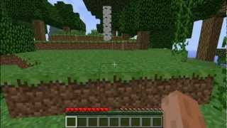 Minecraft Episode 1: OMG DAMN GREEN PENISSES!