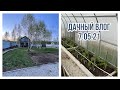 Дачный влог. 🏡 Посадили розы 🌹 и хвойные 🌲. Заказали брусчатку. 🧱