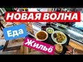 «НОВАЯ ВОЛНА» - ГДЕ ЖИВЁМ И ЧЕМ КОРМЯТ.