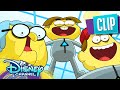 The Greens vs. the Greens?! | Big City Greens | Disney Channel