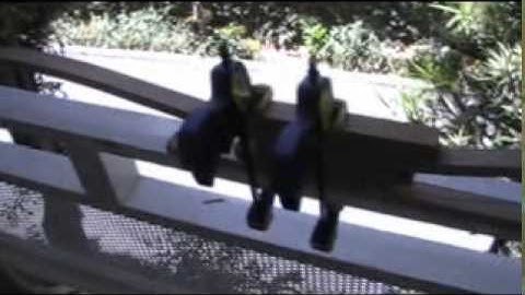 Making the Bow Part 4