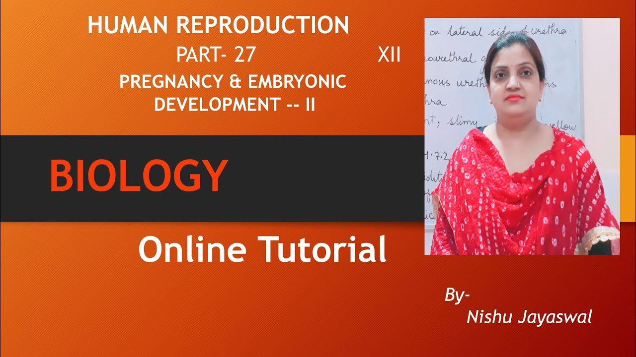 Class 12thhuman Reproduction Chapter 3biologypart 27pregnancy