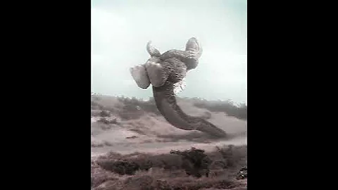 Godzilla Edit #godzilla #godzillaminusone #heiseigodzilla #showa #viral #toho #tokusatsu #kaiju #fyp