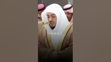 وليد شمسان سورة الزلزلة